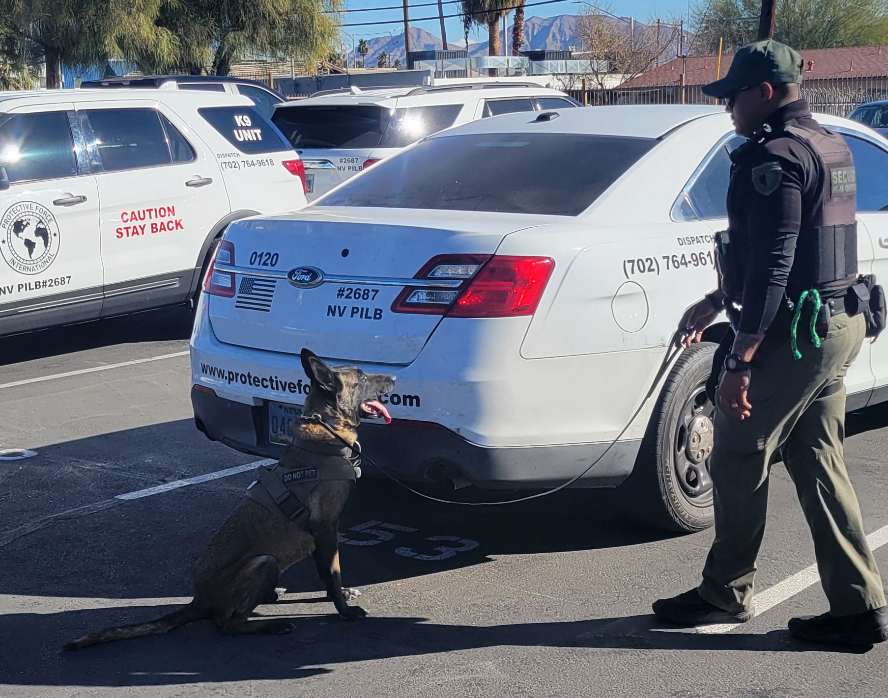 K9 training scenario 1