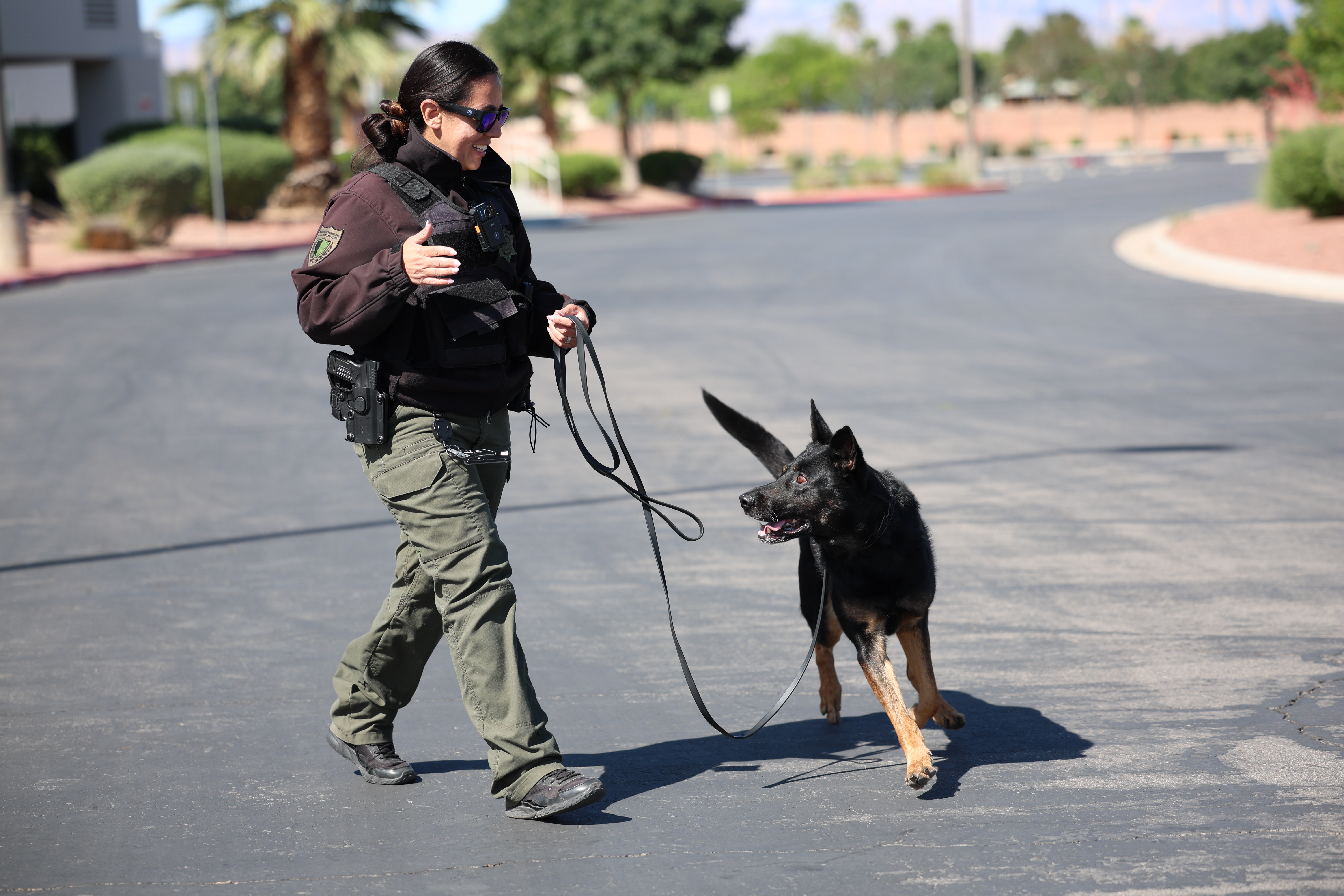 K9 training scenario 3